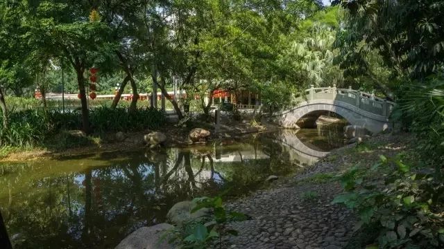 賺翻了!深圳53個免費(fèi)景點(diǎn),不花一分錢玩轉(zhuǎn)五一!