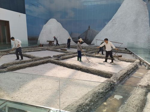 好客山東 百團山東行——濱州無棣站活動啟動，園區管理服務協同助力