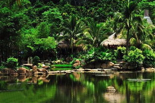 在溫暖保亭遇見那香山，探索大三亞旅游經濟圈的景區管理之道