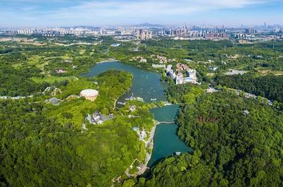 草地露營、國潮音樂節、少兒音樂匯 南京珍珠泉度假區假期精彩紛呈，盡顯卓越園區管理服務