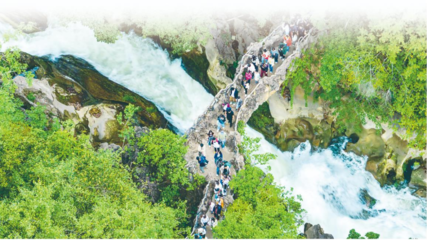 以園區為支點，精準服務與融入新發展格局